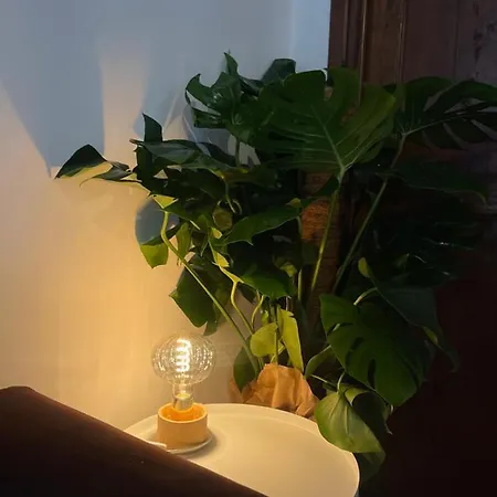 Appartement Rome's Navona *