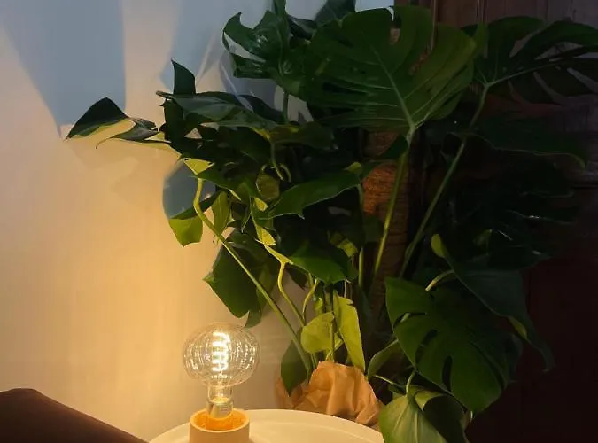 Apartament Rome's Navona *